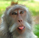 Avatar do usuário