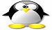 Avatar do usuário