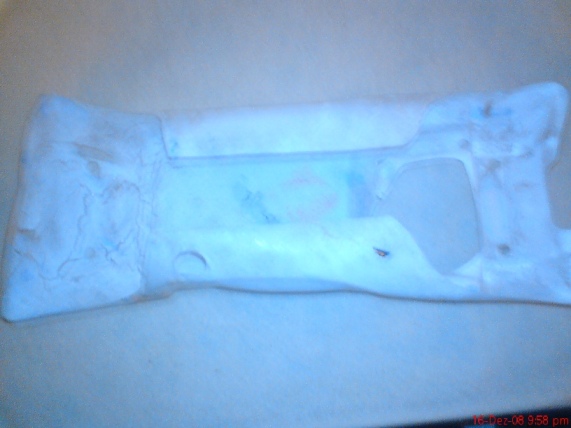 dsc00010.jpg