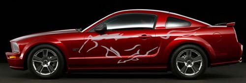mustang-horse-c.jpg