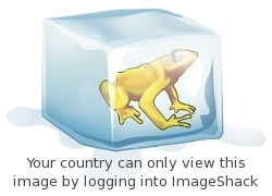 bl.jpg