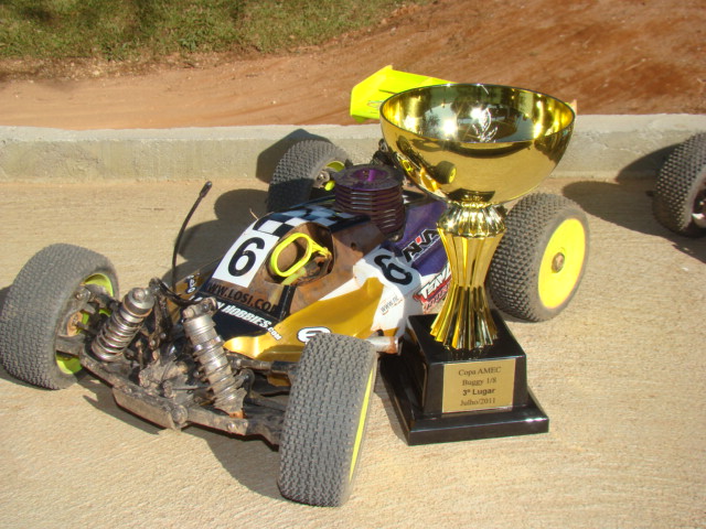TLR ( losi ) #3 - piloto Nelson