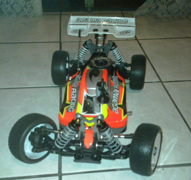 agama 3.jpg