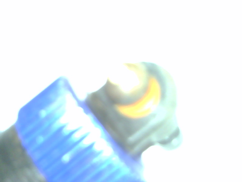 img00247-20120608-2132.jpg
